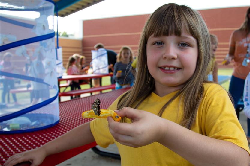 A girl wearing a yellow shirt holds a butterfly on an orange slice